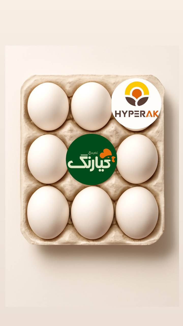 تخم مرغ بسته بندی کیارنگ