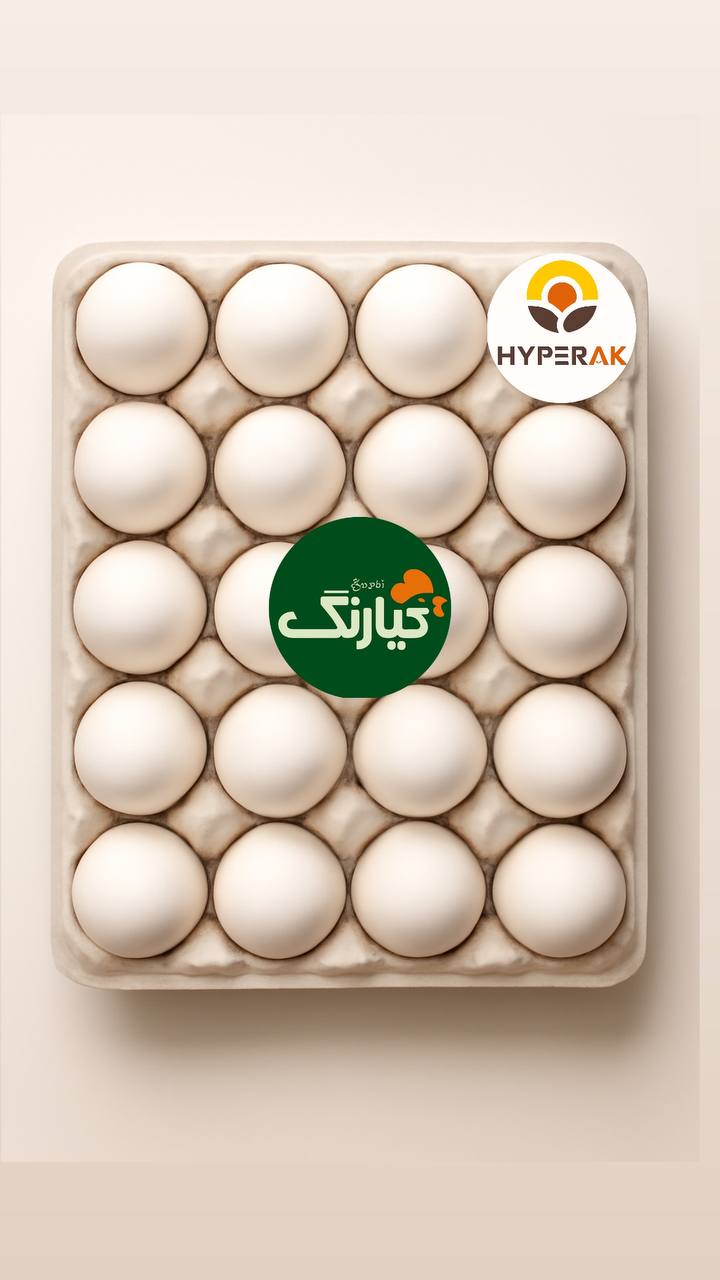 تخم مرغ بسته بندی کیارنگ