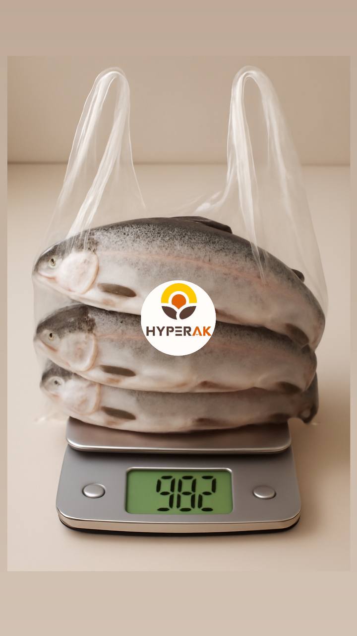 ماهی قزل آلا لرستان